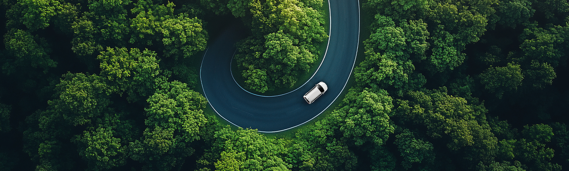 preguntas frecuentes